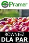 Pracownik sezonowy | Zbiory jabłek i gruszek (okolice Dronten)
