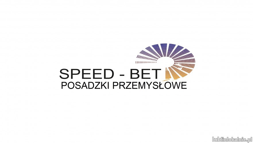 speed-bet_1.jpg