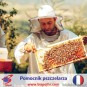 Pomocnik pszczelarza - Francja