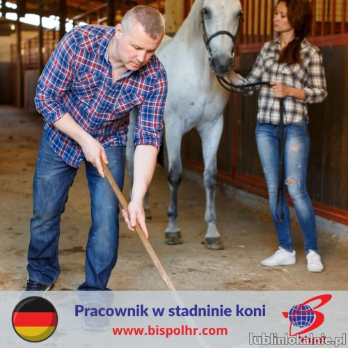 Praca w stadninie koni (z j. niemieckim) - Niemcy