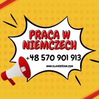 NIEMCY-komisjonowanie ZABAWEK-bez języka i prawa jazdy