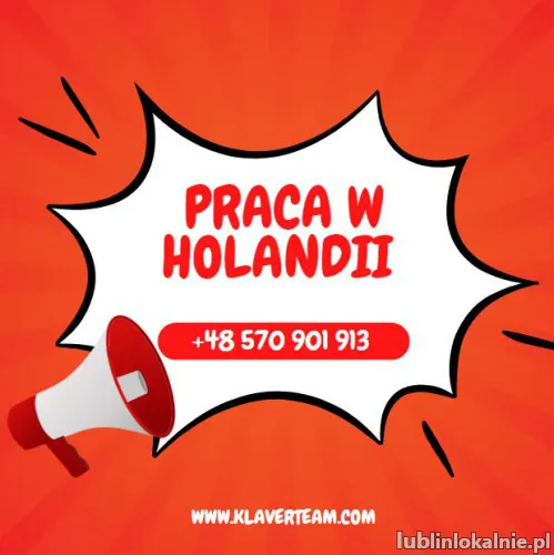 Praca przy pieczarkach Holandia