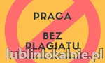 Zawodowe Pisanie Prac