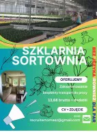 Praca na szklarni z kwiatami bądź sortowni owoców i warzyw