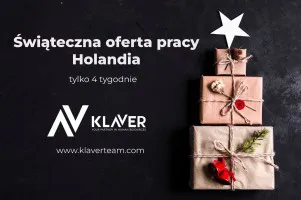 Zarób przed świętami - krótki wyjazd do Holandii!