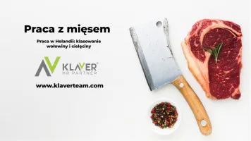 Klasowanie wołowiny i cielęciny- praca w Holandii od zaraz Klasowanie wołowiny i cielęciny- praca w Holandii od zaraz
