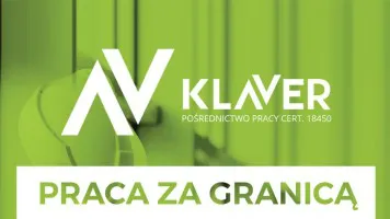 Ubój -wołowina i cielęcina- praca w Holandii od zaraz Ubój -wołowina i cielęcina- praca w Holandii od zaraz