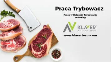 Trybowanie wołowiny- praca w Holandii od zaraz Apeldoorn Trybowanie wołowiny- praca w Holandii od zaraz Apeldoorn