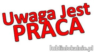 PRACA W LOGISTYCE  HOLANDIA
